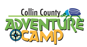 CCAC Logo 